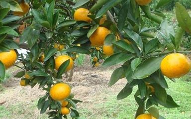 ���ٽ隤�x�Y����Εr�ںͷ���