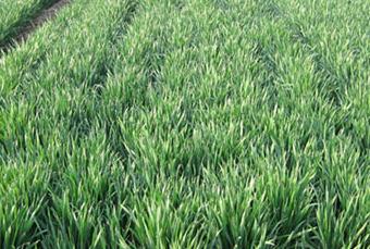 ��߮a(ch��n)������ע�����Ҫ��֪����