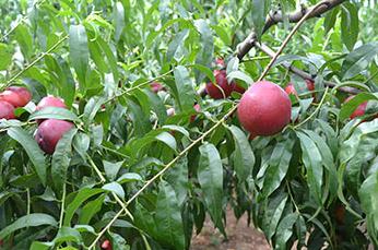 �Ҙ�׷۲���ô�k���Ҙ�׷۲����η���