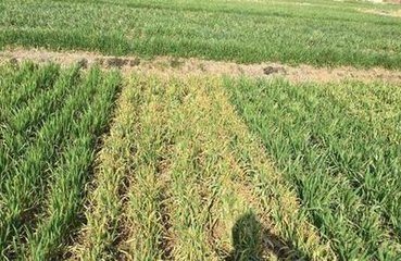 ���궬����ܳ��F(xi��n)�O����⣬С�����������x��Ҫע�⣡��Ԕ��(x��)��