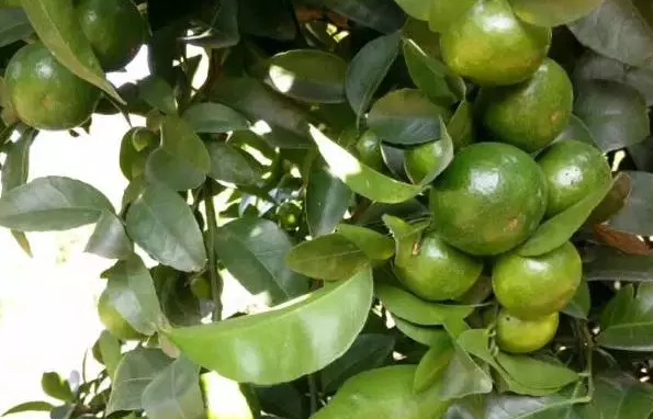 11�¸����@�ӹ������P(gu��n)�I!