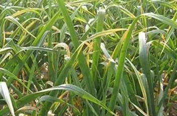 ����Ĵ���ɼ⡢�S��������ʮ�և�(y��n)������ʲôԭ��