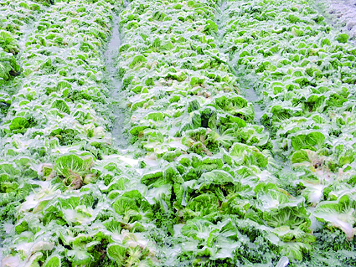 ���o���߲�ѩ���������g����