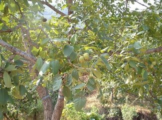 ���Ҙ䱣�ط���Ҫ�I