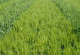 С�������󇊞����݄����@Щ����Ҫע�⣡��t��ځ�������