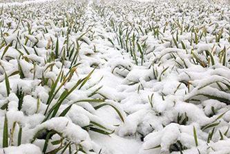 С������Ӱ푕��p�a5%-20%��С���������δ�ʩ