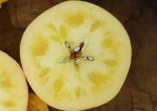 ���������O��������ô�γɵģ���ʲô���ĕ���ʧ��