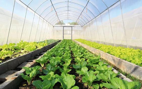 �߲�݆����ȫ��������Ҳ���������ϵK����