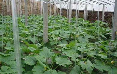 ע�������紺���߲��@Щ����Ҫ��λ��