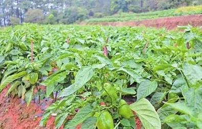 �r�􂃶�֪���İ˴�����Ӱ���������֪��ô��