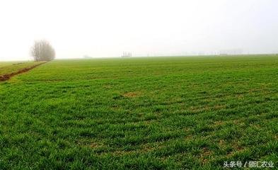 ����̧�^�������؅^�������������Ҫע���@Щ��