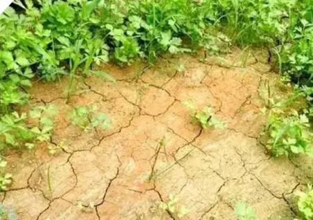 ������������횽�Q�@�����}������Ҫ��