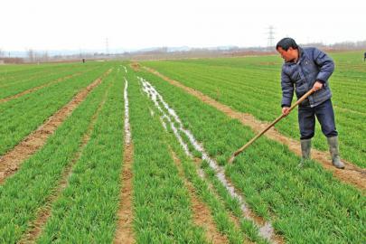 ���С������ƫ�������������@5�c���ܵø߮a��