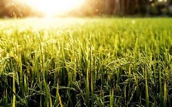 2018���Ϸ��絾������������������g��Ҋ