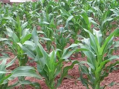 �����o��Ҫ���磬�@ЩҪ�c��ӛ�Σ�