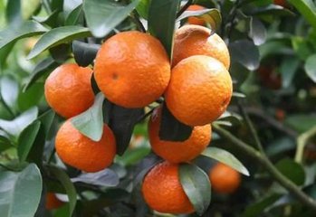 ����5�º��Ĺ������g��