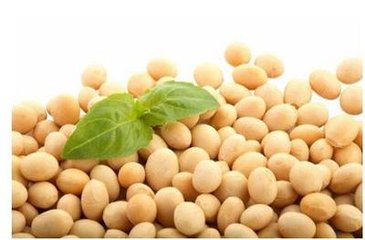 �����զ�N���r(n��ng)�I(y��)�r(n��ng)�岿��(zhu��n)�ҽo��5�У�