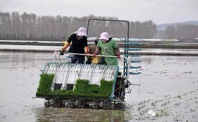 ˮ�������ġ��Ĳ塢�Ĳ��塱����ʲô��