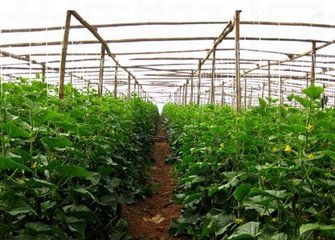 �ļ��ߜأ������߲˹����������@���c��