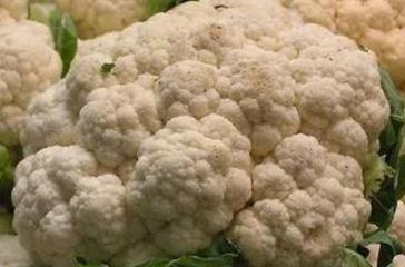 ���˵ķNֲ����