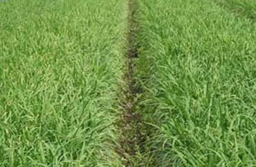 �²˵����༼�g�c�ճ�����