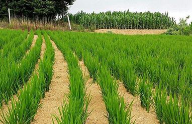 ���󣡹��{�Y���ڸߜس��m���絾����������Ҋ���@��