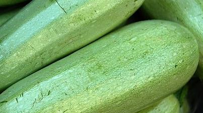 �˹ϵķNֲ�����c���g����