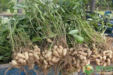 ���|������ι����a���ߣ�