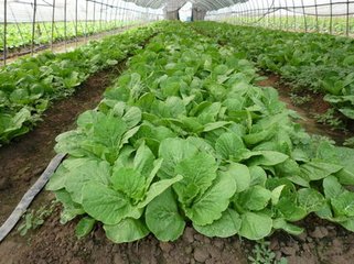 �ļ��ײ�����aˮ����Ч��