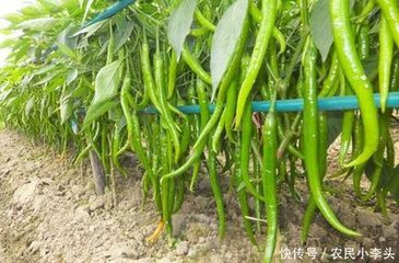 ������Ҫ�y����ˮ