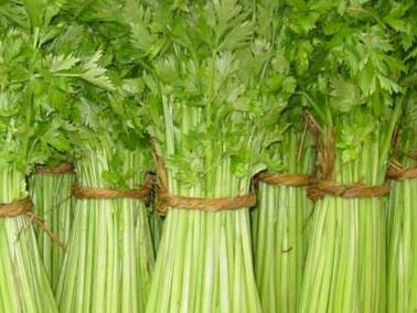 ��������۲˲�����߷NֲЧ�棿�۲˵����༼�ɣ�