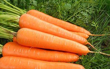 ���}������������Ҫע��ʲô�����}����������֪�R