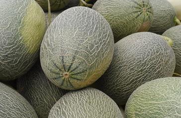 ���ܹ���ô�N�����ܹϵ����g�������g