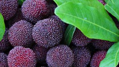 ��÷��������3����������߮a���ó