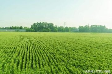 С������ˮ���@���c(di��n)���P(gu��n)�I��