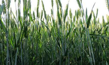 С������ʲô�r�g���ݱ��^�ã�С�����ݵĕr�g