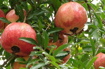 ��δ��M(j��n)ʯ���������@�������Դ��M(j��n)ʯ������