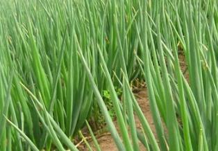 ���ϵ؅^һ�����к������g�������g��Ҋ