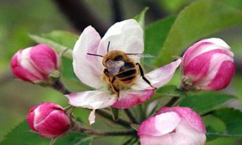 �O���仨�ڹ�����һ��Ҫץס�@6����