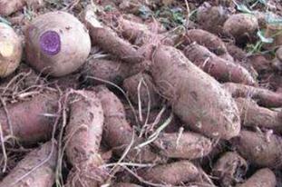 ��ô���������a���ߣ�������ɫ�R����ļ��gҪ�c