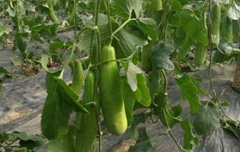 ���������ڷەr�g�����Ϲ�(ji��)λ��ˮ�ʹ�����ô����