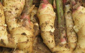 �����Nֲ��Ϋ@�߮a(ch��n)�������߮a(ch��n)�ķ�����