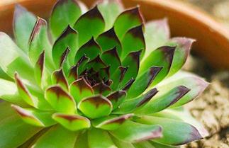 �^��ɏ��ô��ˮ���^��ɏˮ�ʹ�������