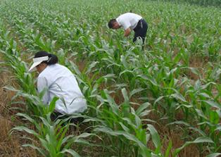 ���ӌ������M�����������������������Լ���