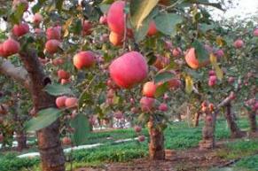 ����޽Ӻ���ι�����������޽Ӻ�Ĺ�������