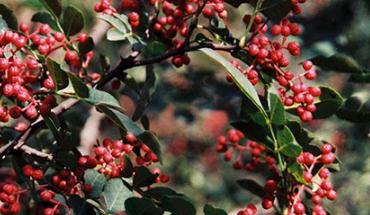 ������������������ƌW��������