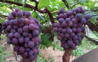 ���ѳ���r(sh��)�g��ʲô�r(sh��)��������ʲô����(ji��)��ˮ��