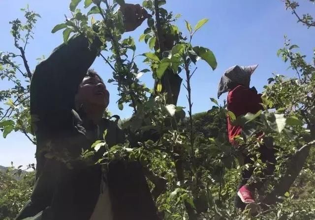 ������������y��ԭ����Ҫ��3�c�����r��ô�k��