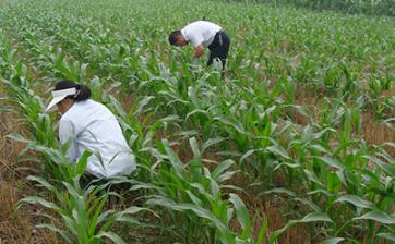 ���ӽo���״��������׿ƌW���켼��