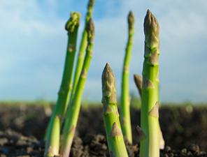 �J�S��ô����Ч���ã��J�S����ķ���Ҫ�c